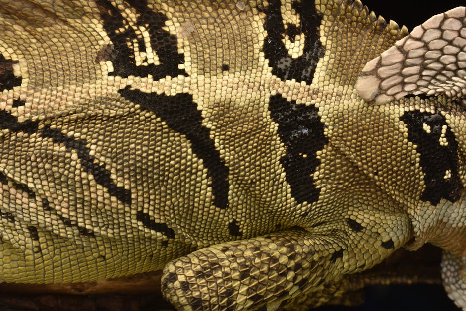 The Chupacabra Returns Tracking the Monster’s Global Evolution