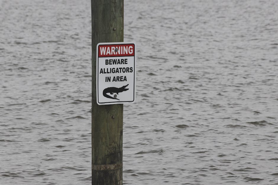 Decoding The Alligators in the Sewers Tale