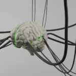 Why your brain falls for computer hardware myths: The ghost in the machine