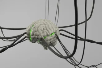Why your brain falls for computer hardware myths: The ghost in the machine