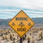 How to spot early warning signs of deepfake scams and viral internet hoaxes