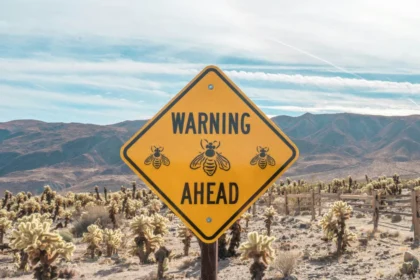 How to spot early warning signs of deepfake scams and viral internet hoaxes
