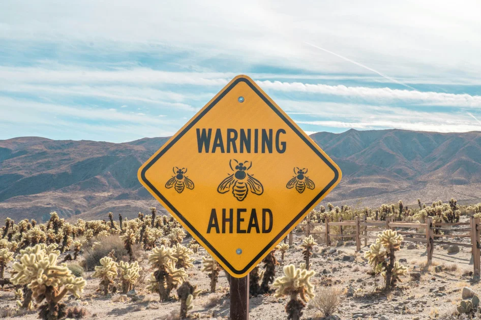 How to spot early warning signs of deepfake scams and viral internet hoaxes