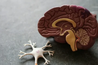 The role of cognitive bias: Why our brains actively ignore factual scientific data